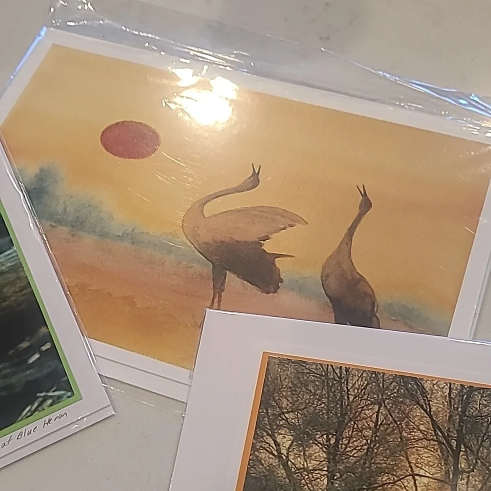 Nature Wildlife Cards. NEW